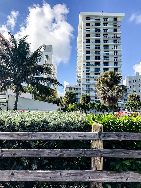 酒店和公寓在迈阿密海滩，佛罗里达，美国