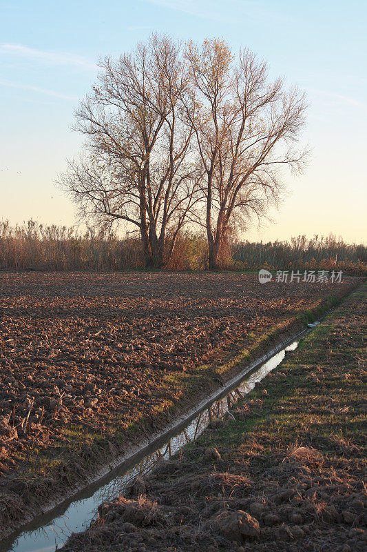 托斯卡纳的灌溉渠。冬天