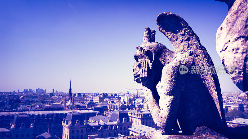 俯瞰法国巴黎的巴黎圣母院大教堂的石像鬼