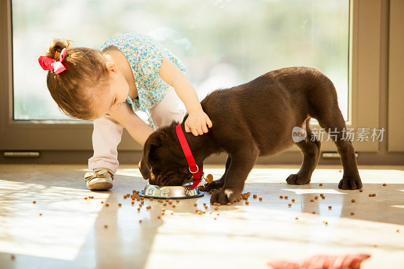 可爱的小女孩在喂她的小狗