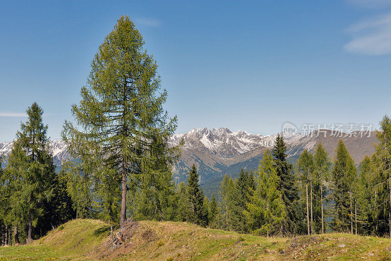 奥地利西卡林西亚的阿尔卑斯山景观。