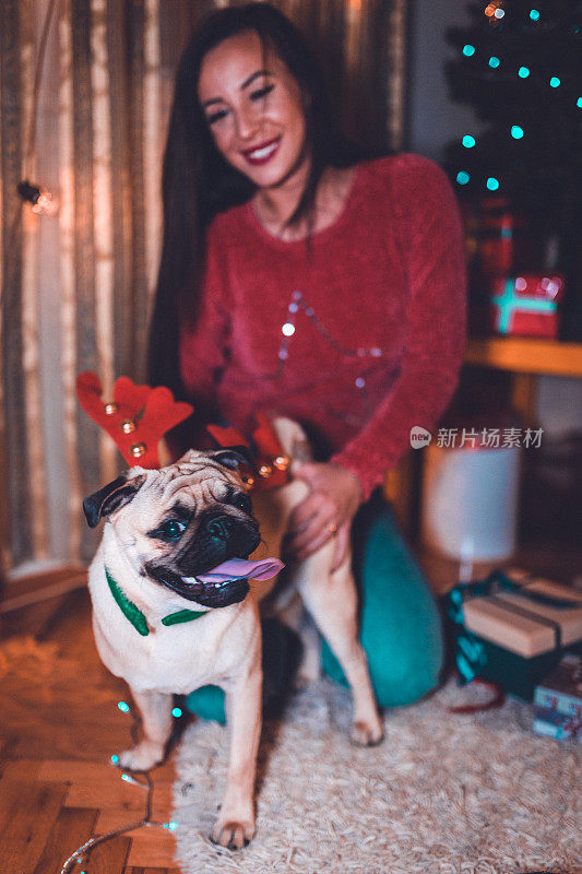 圣诞节期间，快乐的女人和她的哈巴狗玩耍