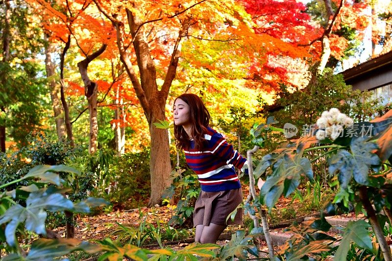 在美丽的秋叶下的年轻日本女人，猪岛公园，东京