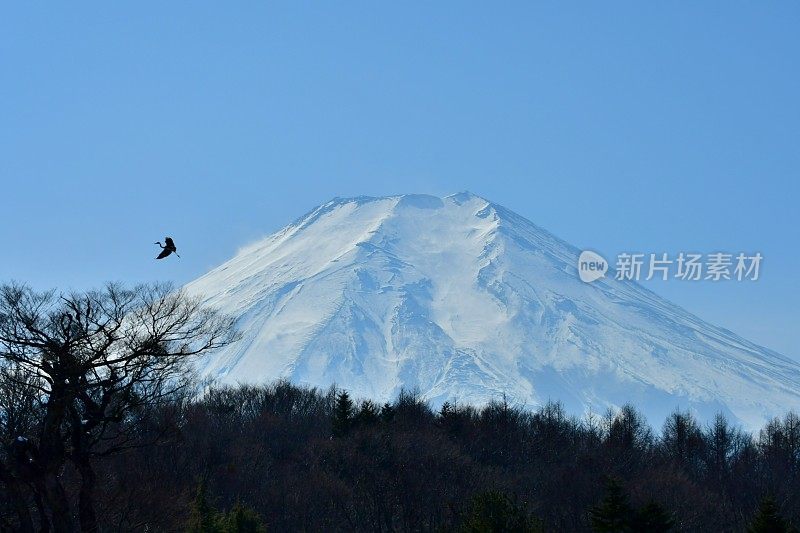 白雪覆盖的富士山，摄于山梨县大野hakkai