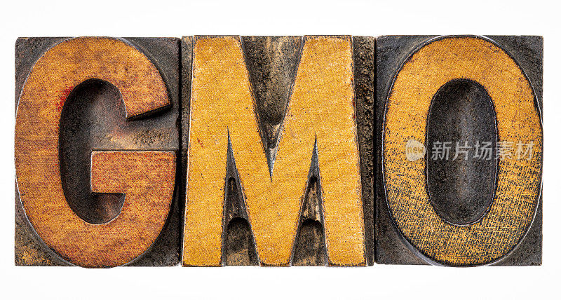 GMO是古木材类型的首字母缩写