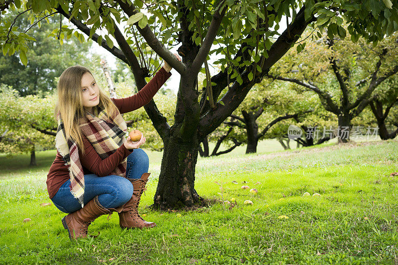 十几岁的女孩在苹果园