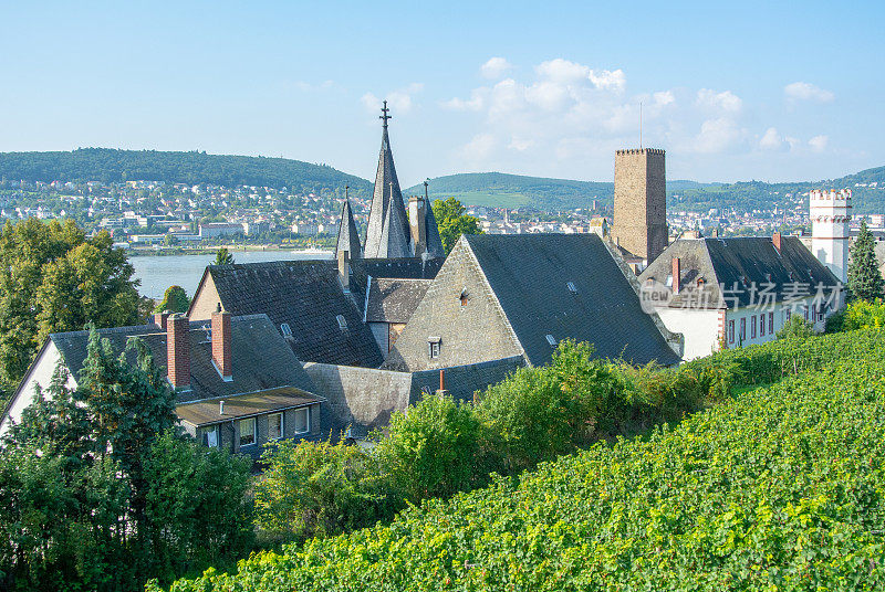 葡萄园在低森林纪念碑纪念碑Rüdesheim，德国