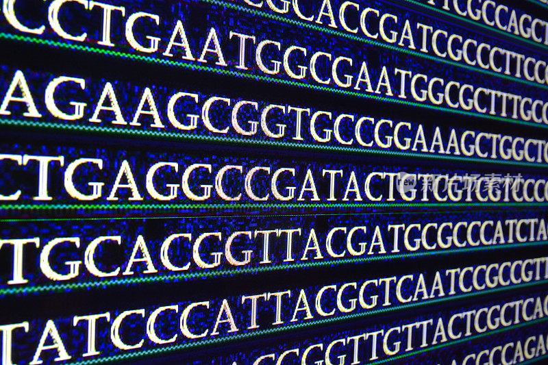 在实验室对基因组进行测序。