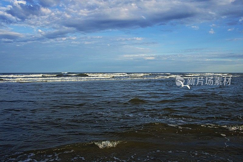 美国南卡罗来纳，黎明时分，苍鹭海鸟带着海浪飞过海滩