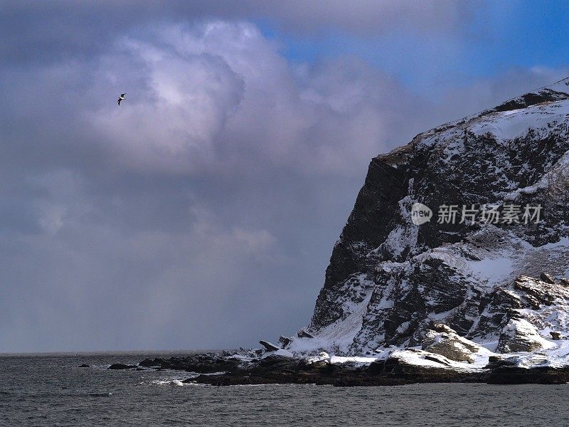 雪崖与海鸥