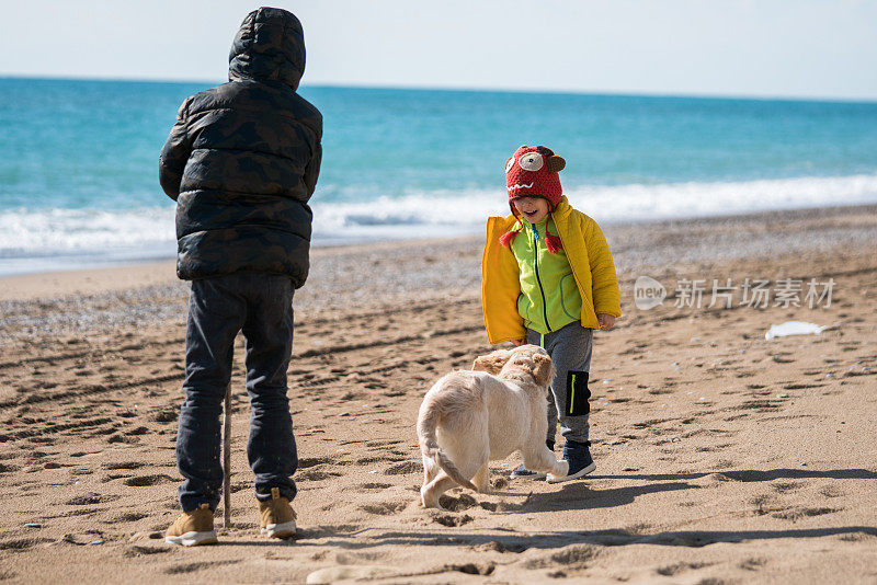 快乐的弟弟和她的狗在沙滩上玩耍。