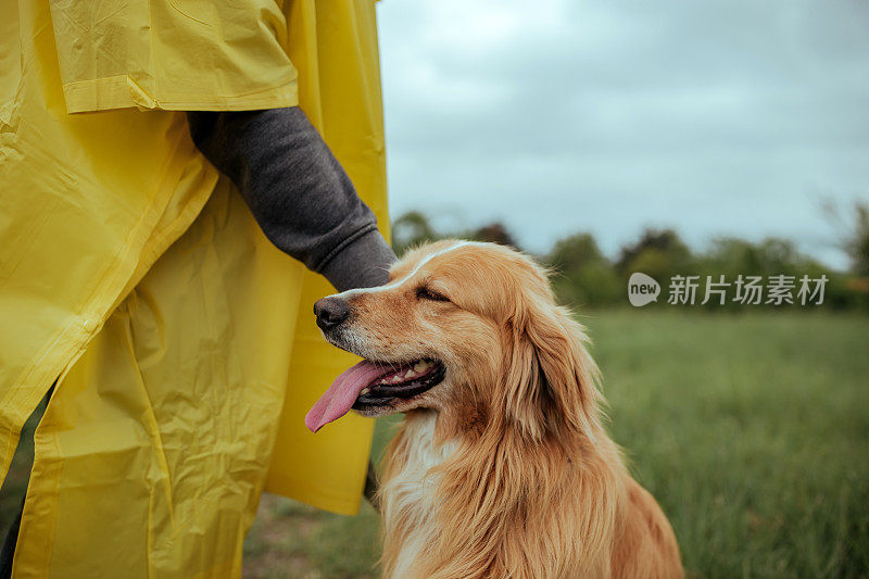 人和狗在公园里