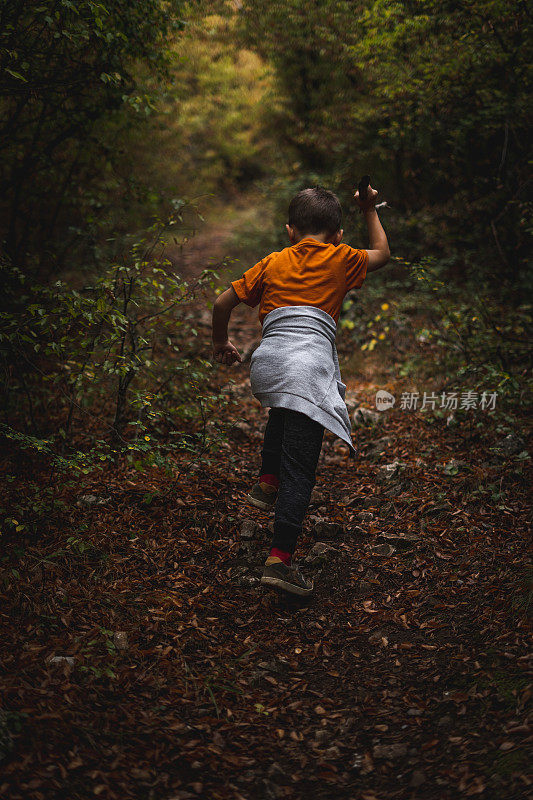 小男孩在树林里散步
