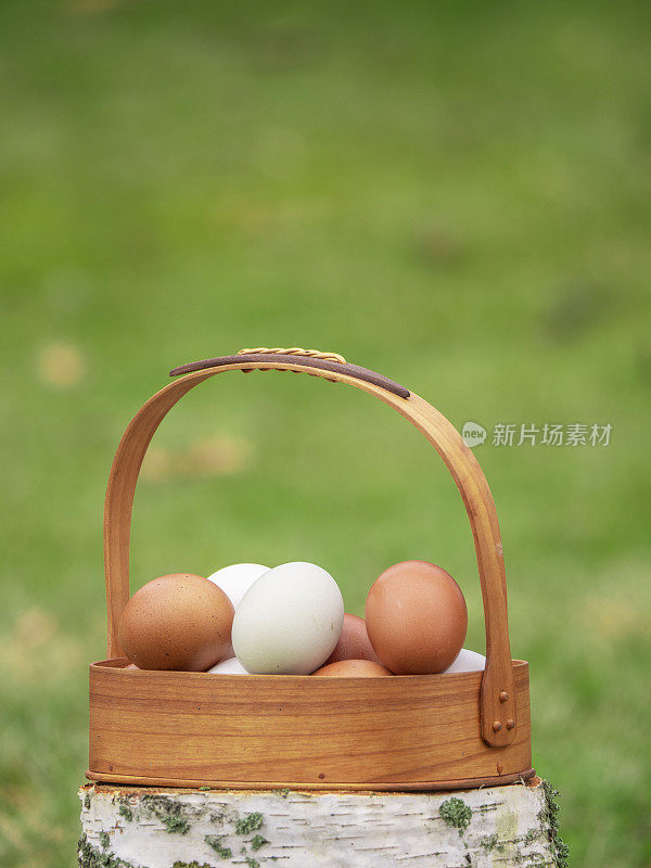 一个木篮子里装着白色和棕色的鸡蛋