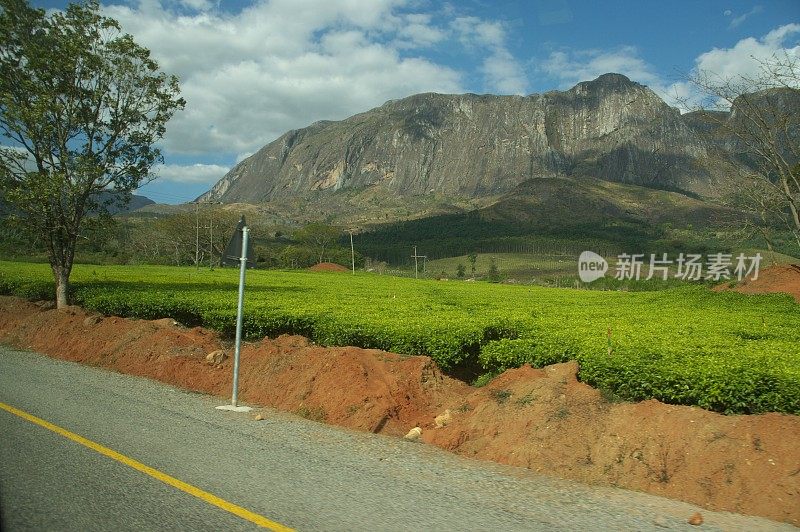 马拉维，穆兰格山，前景是茶园