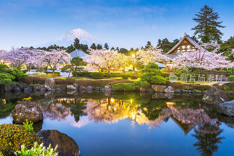 日本静冈县的富士宫春天有富士山和寺庙。