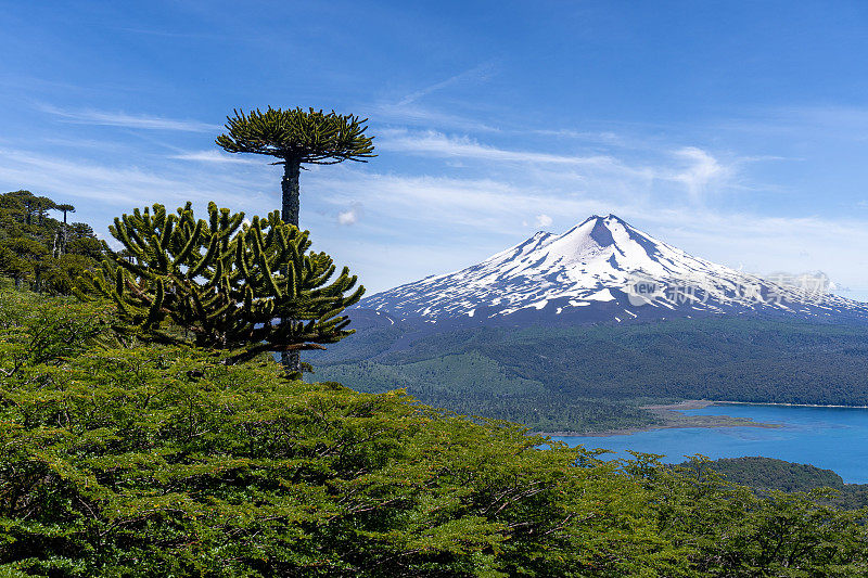 孔吉里奥国家公园里亚伊马火山的高架景观