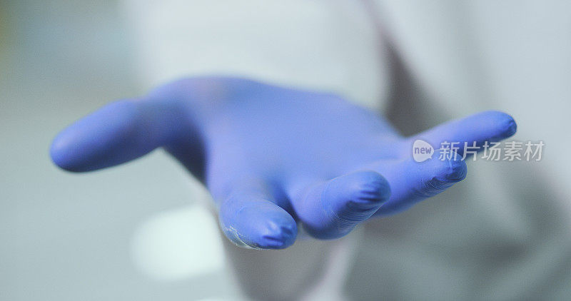 科学家双手戴上防护手套。科学实验室。