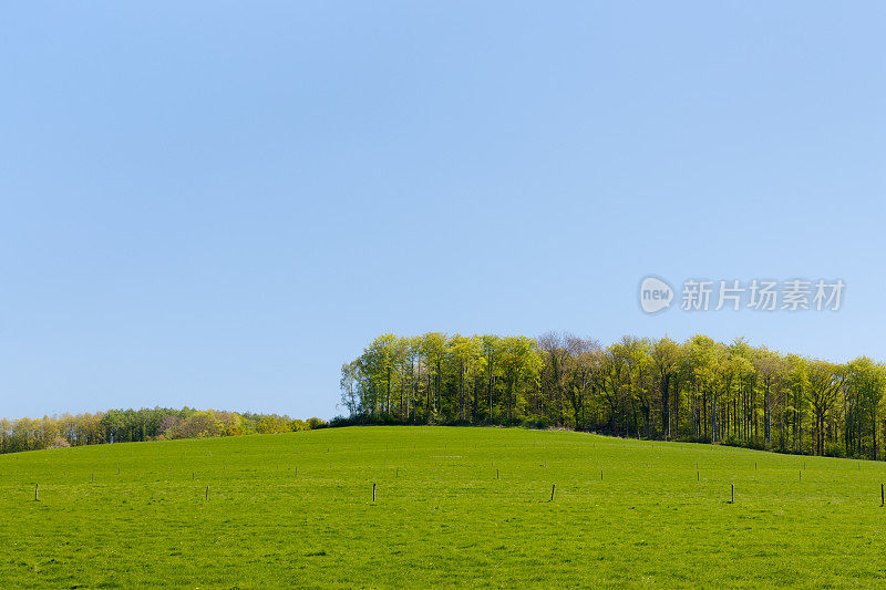 绿茵草地加林木线(近景)