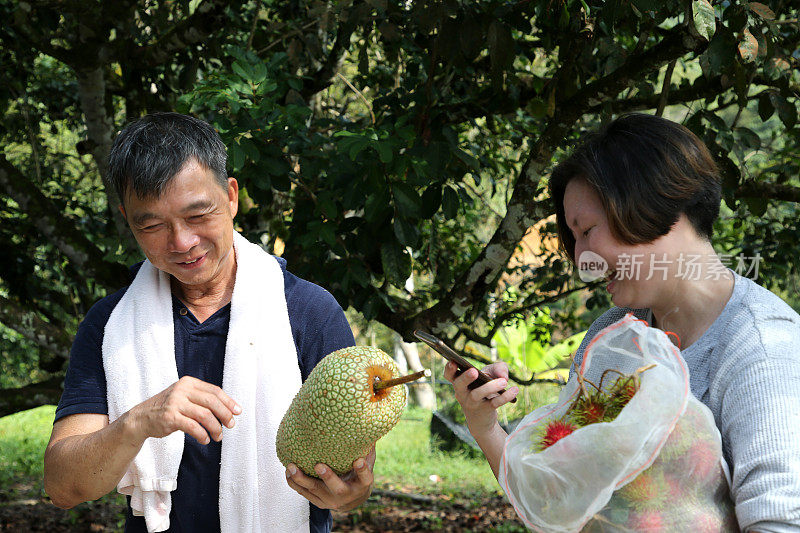 一对夫妇站在树上吃水果