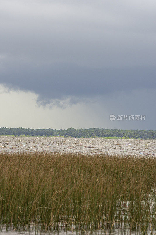 在森林覆盖的地平线上移动的夏季风暴和雨水的湖边视图