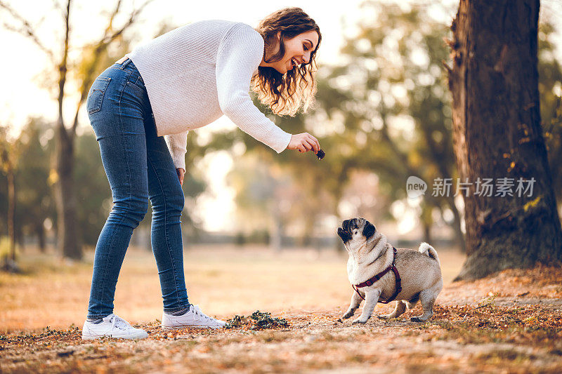 给狗吃东西的女人