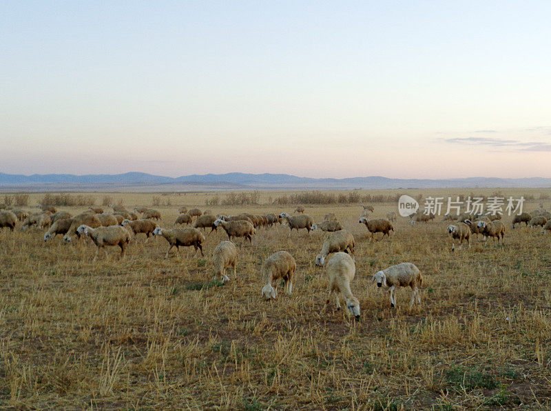 草原风景