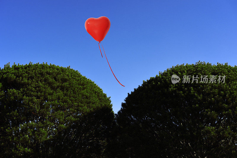 红色的心形气球漂浮在心形树上