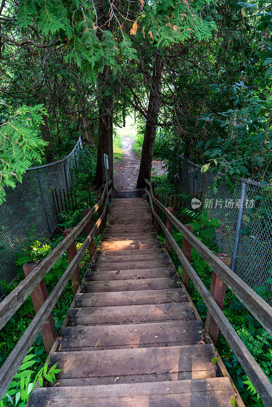 加拿大彼得伯勒的Otonabee河景观公园和麦克布莱德岛公园