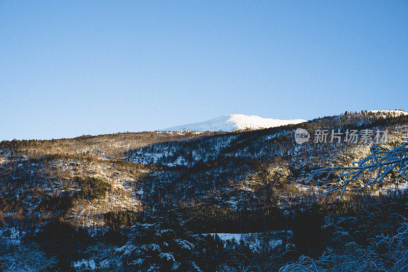 森林山后面的雪山。