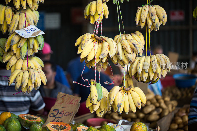 香蕉市场，人们在毛里求斯的农贸市场买水果。