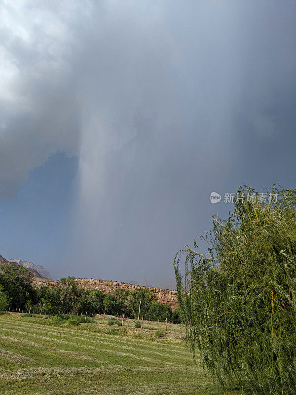 强烈的夏季暴雨和飓风笼罩着牧场和田野，背景是犹他州的锡安国家公园