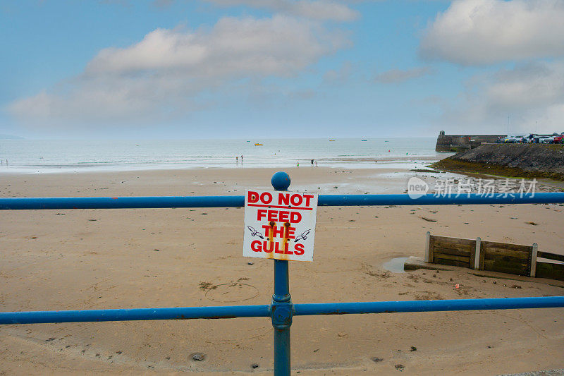 警告标志——不要喂海鸥、有翅膀的害虫，在英国大多数海滨度假胜地，人们吃鱼、薯条和零食，这是一个严重的问题。