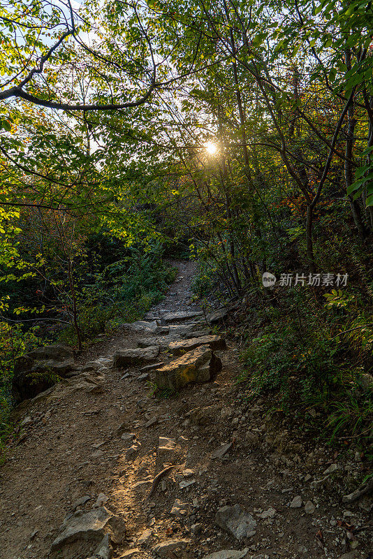 尼亚加拉峡谷公园和加拿大的尼亚加拉河在尼亚加拉瀑布之前