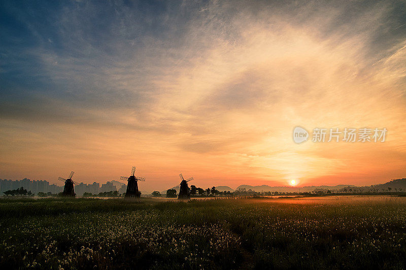 Sorae湿地的日出