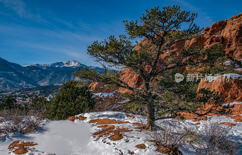 阳光明媚，白雪覆盖的科罗拉多斯普林斯的众神花园