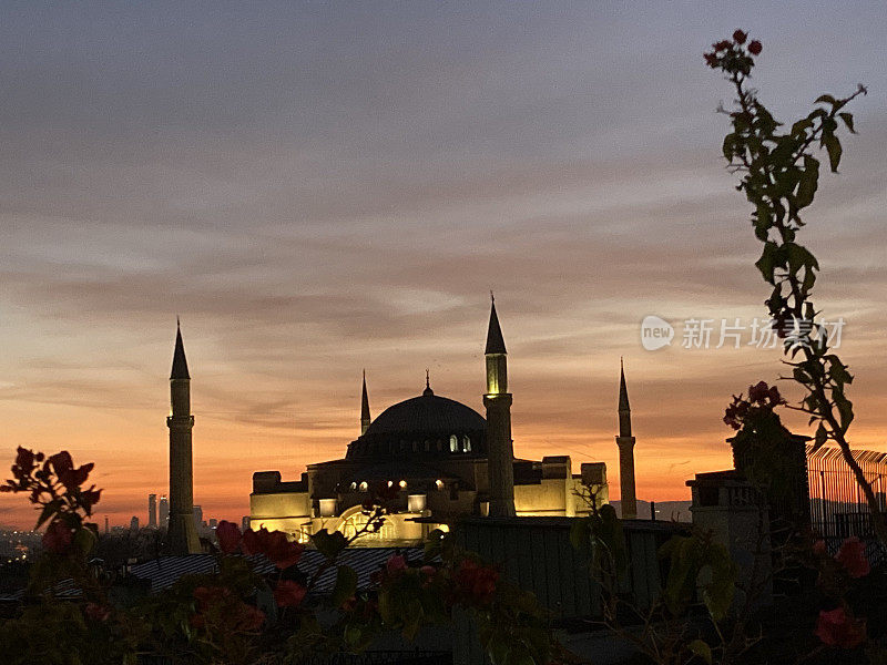 土耳其-伊斯坦布尔-阳光下的圣索菲亚清真寺