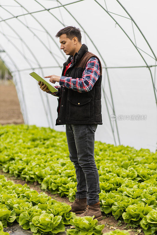 现代的年轻农民在温室里拿着iPad