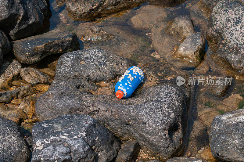 海洋废弃塑料瓶