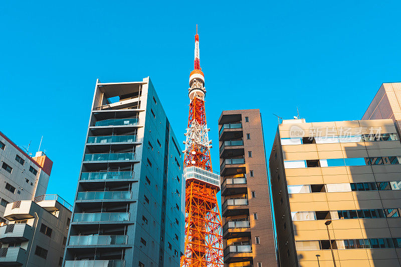 东京塔和东京的住宅楼