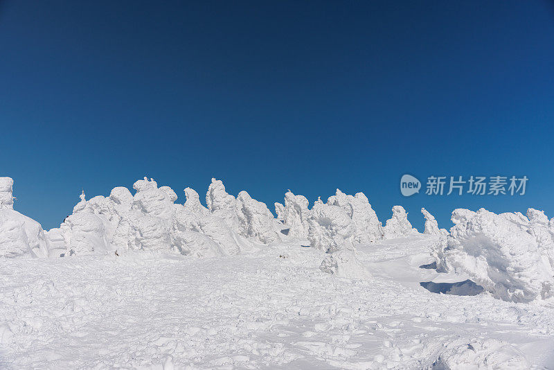 日本青森县冬季的客田山