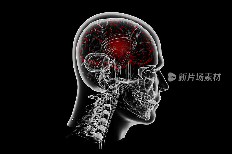 3D医学概念