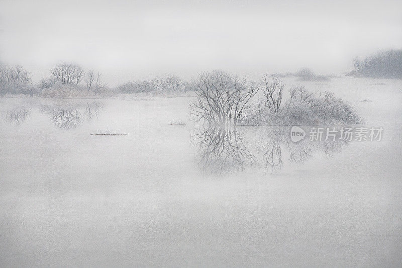 冬天的风景