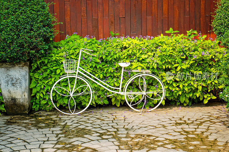 未使用的白色自行车的图像被装饰在观赏园中，以创造美感和风格。