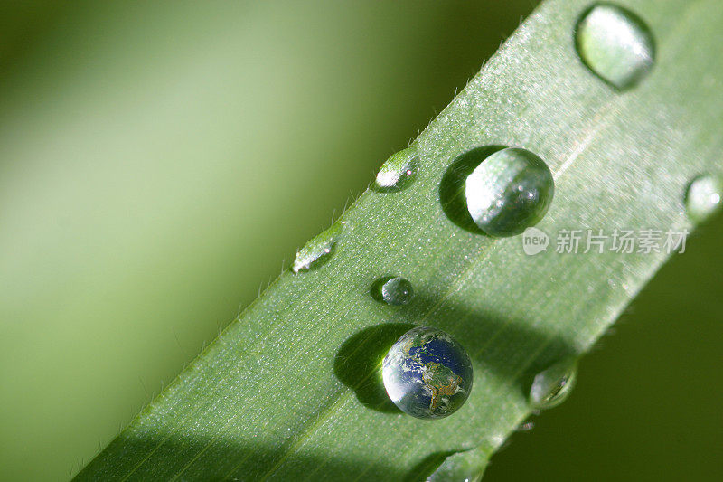 我们的地球在一滴露水中