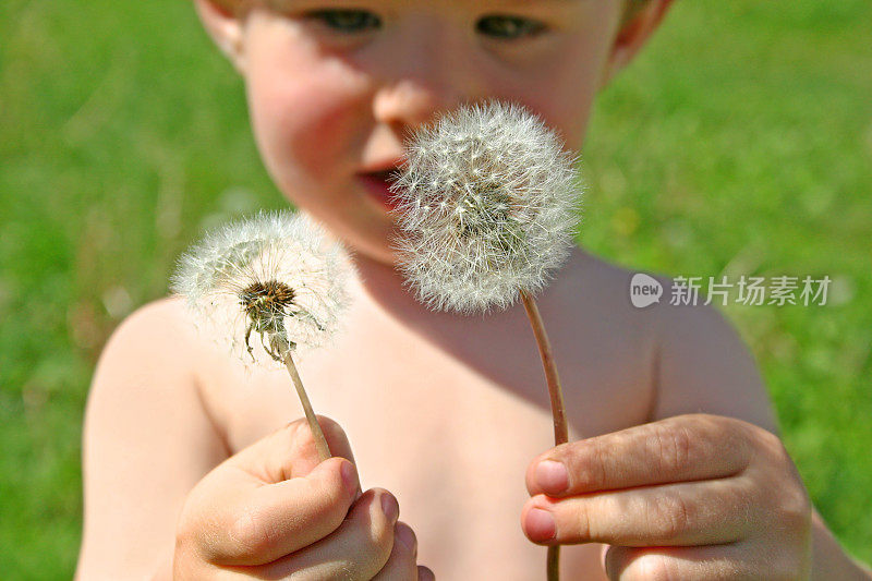 愉快的夏天