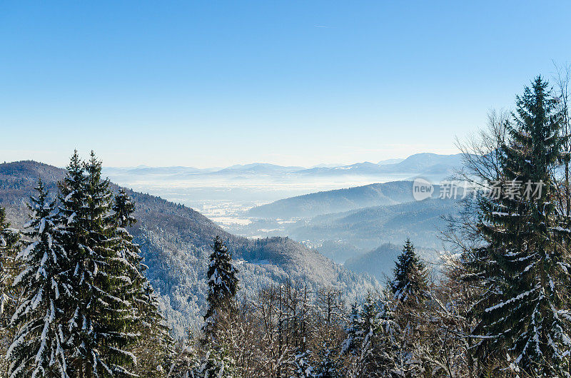 冬天的风景