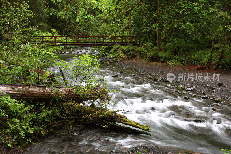 森林溪流徒步旅行路线