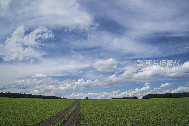 西伯利亚野地与公路