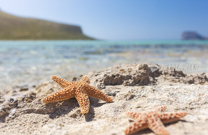 海滩和蓝色大海上的海星